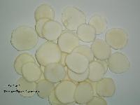 IQF Water chestnut slice