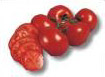 tomatoes slices