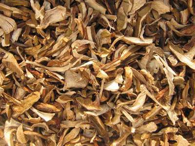 Dried Boletus edulis