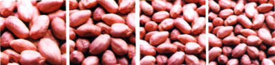 GROUNDNUT KERNELS