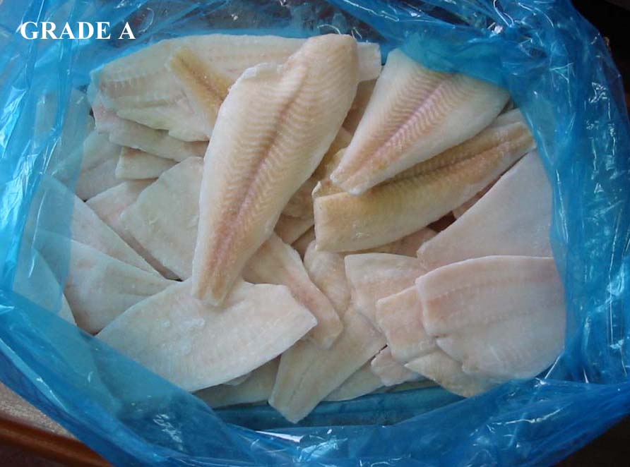 YFS fillets