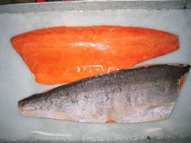 China Chum Salmon Manufacture and Factory