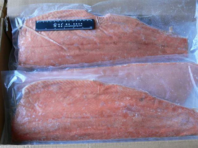 Frozen Chum Salmon Fillet Wholesale Fish Frozen Salmon