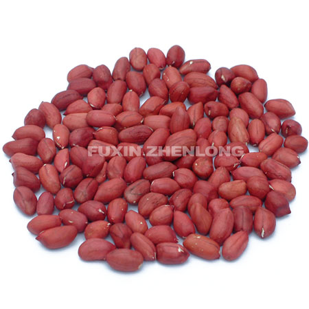 Peanut Kernels
