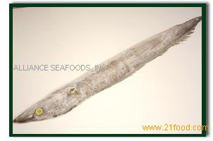 Beltfish