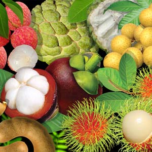 Fresh Tropical Fruits (Banana, Coconut, Guava, Longan, Lychee, Mango ...