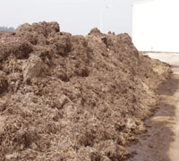 fertilizer