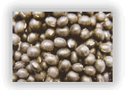 BLACK SOYBEANS