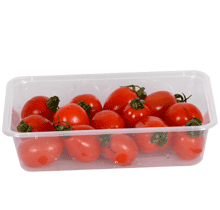 Clear  fast   food  container
