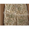 frozen garlic segment