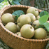 Deionized Apple/Pear Juice Concentrate