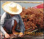 Carrageenan
