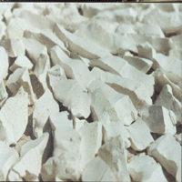  Pueraria   Powder 