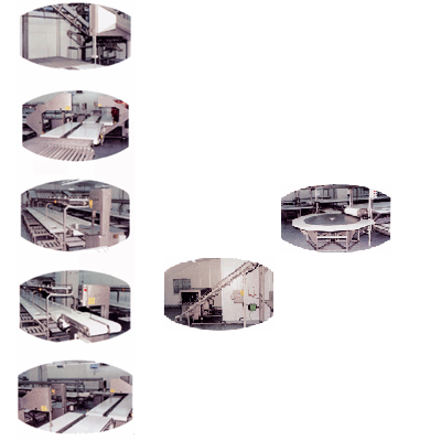 Meat Cutting Line