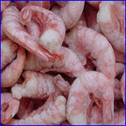  red   shrimp s