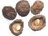  Dried   Mushroom 