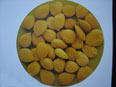 Pumpkin Seed  Grown 