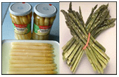 Canned/ jarred   asparagus 