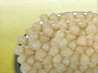 SALTED SCALLION