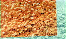  Carrot  chip