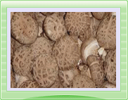 Lentinula  Edodes  Powder