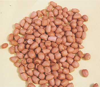 graded groundnut kernels