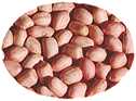  Raw   Shelled   Peanuts 