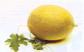 Melon