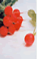 Radish
