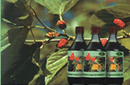  Mulberry   Fruit  Juice