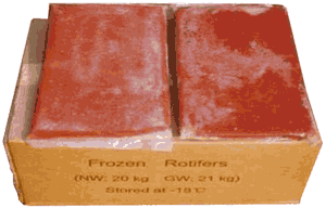 Frozen Rotifers