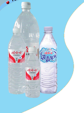 Wahaha Purified Water