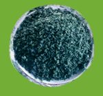 tubule onion of quick-freeze