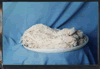  Salted   Hog   Casing 