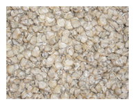 Frozen Small Clam meat