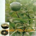  citrus   aurantium   L .--hesperidin&diosmin