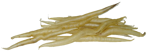 Fish Maw
