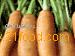 Dietary  Phytochemicals 