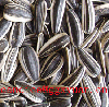 Sunflower seeds