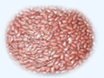 Roasted Peanuts With Red Skin