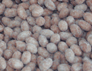 Honey Peanuts