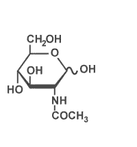 N-acetyl Glucosamine