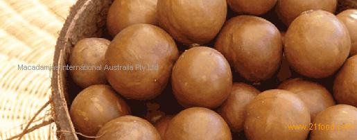 Macadamia Nuts