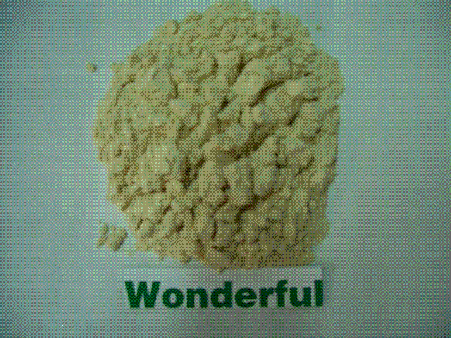 defatted soya flour