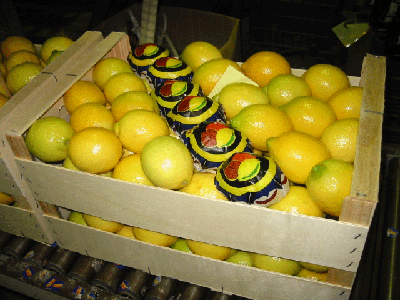 Lemons
