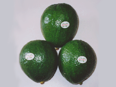 Avocados