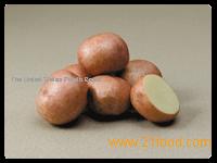  Red  Potatoes