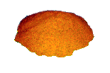 Fresh goji juice spray dried powder