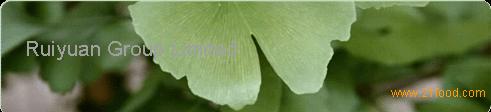 Ginkgo biloba extract