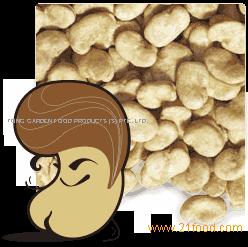 Broad bean Brody